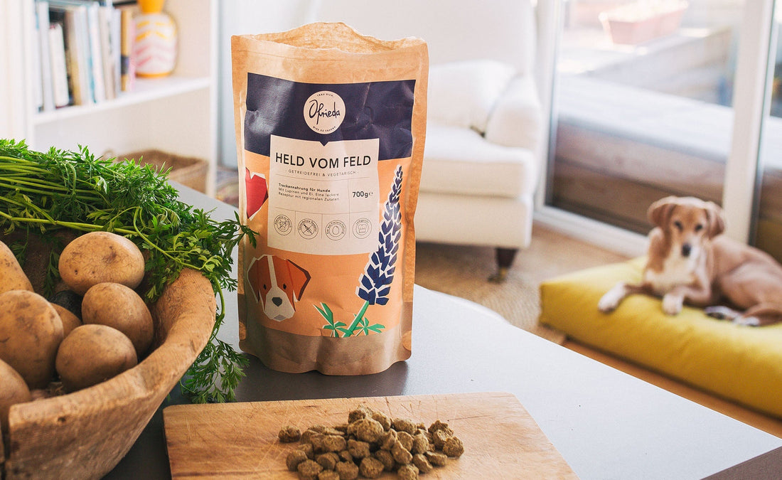 Purinarmes Hundefutter - 4 Tipps & das richtige Futter