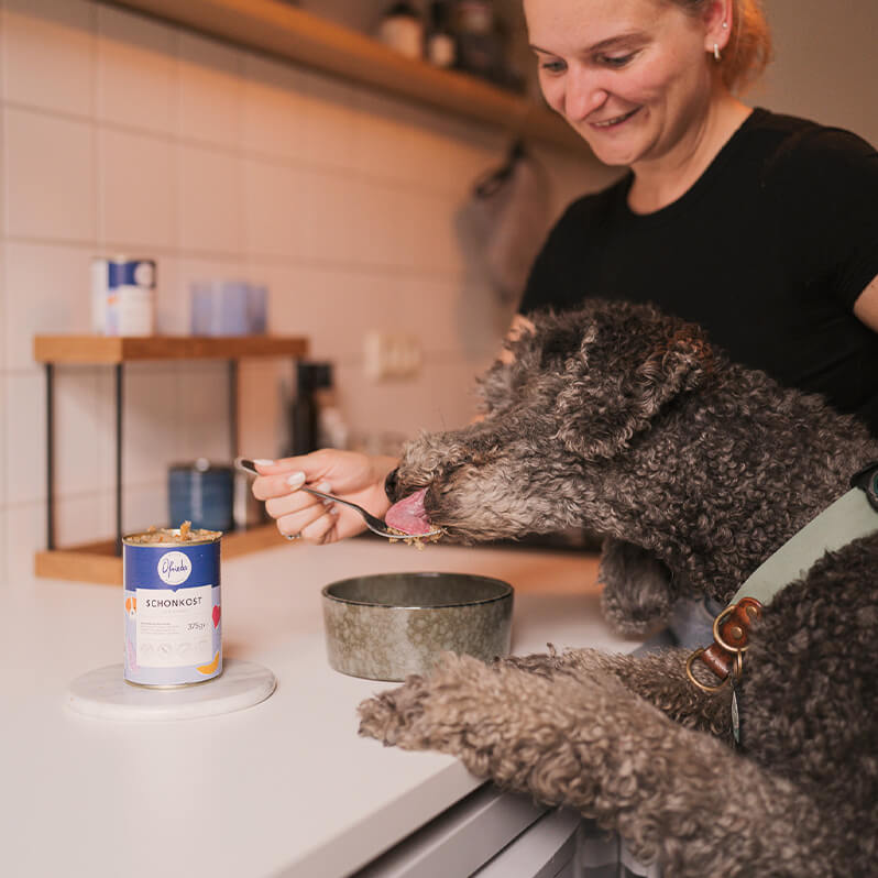 Schonkost | Insekten Hundefutter für sensible Hunde | Nassfutter