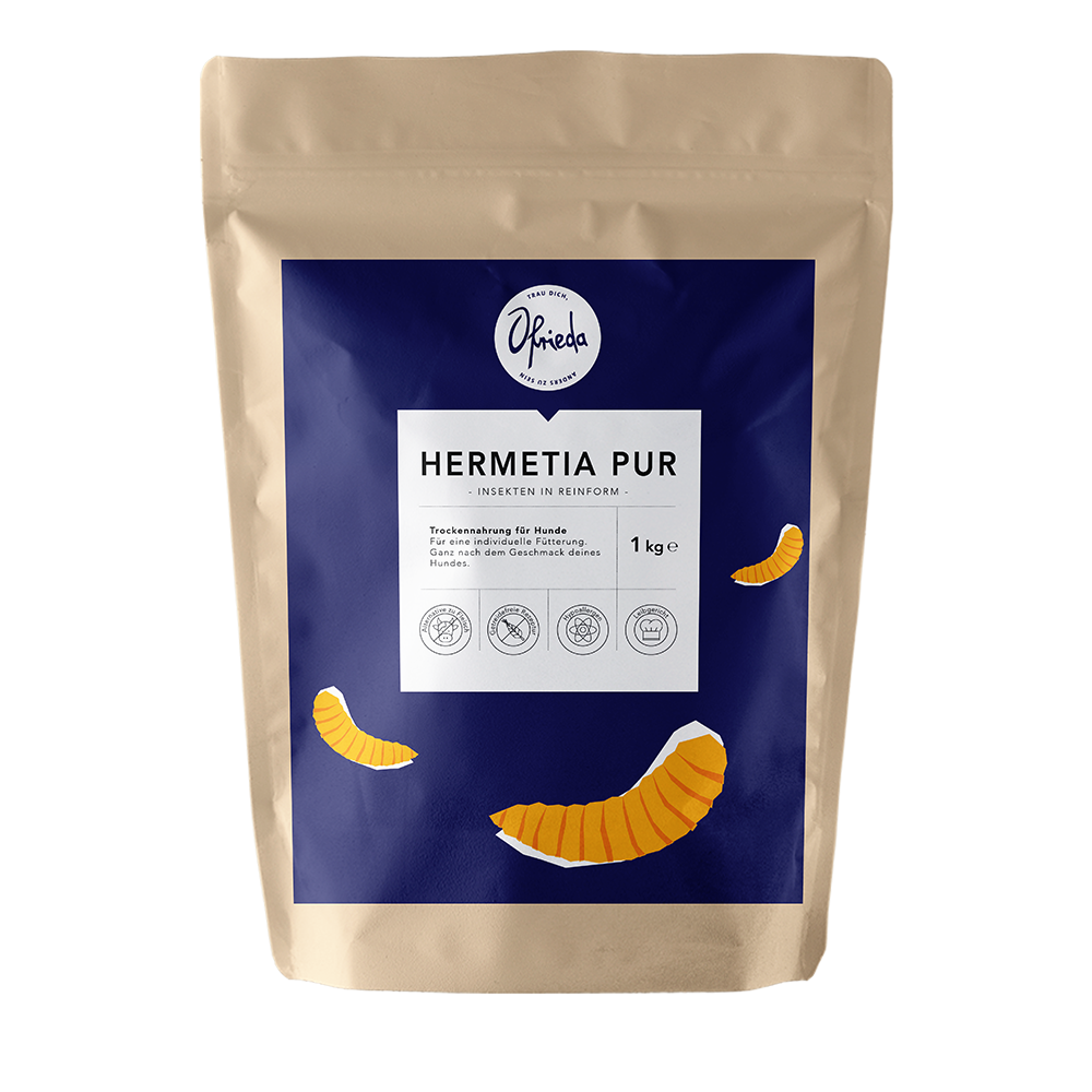 Hermetia Pur Proteinpulver
