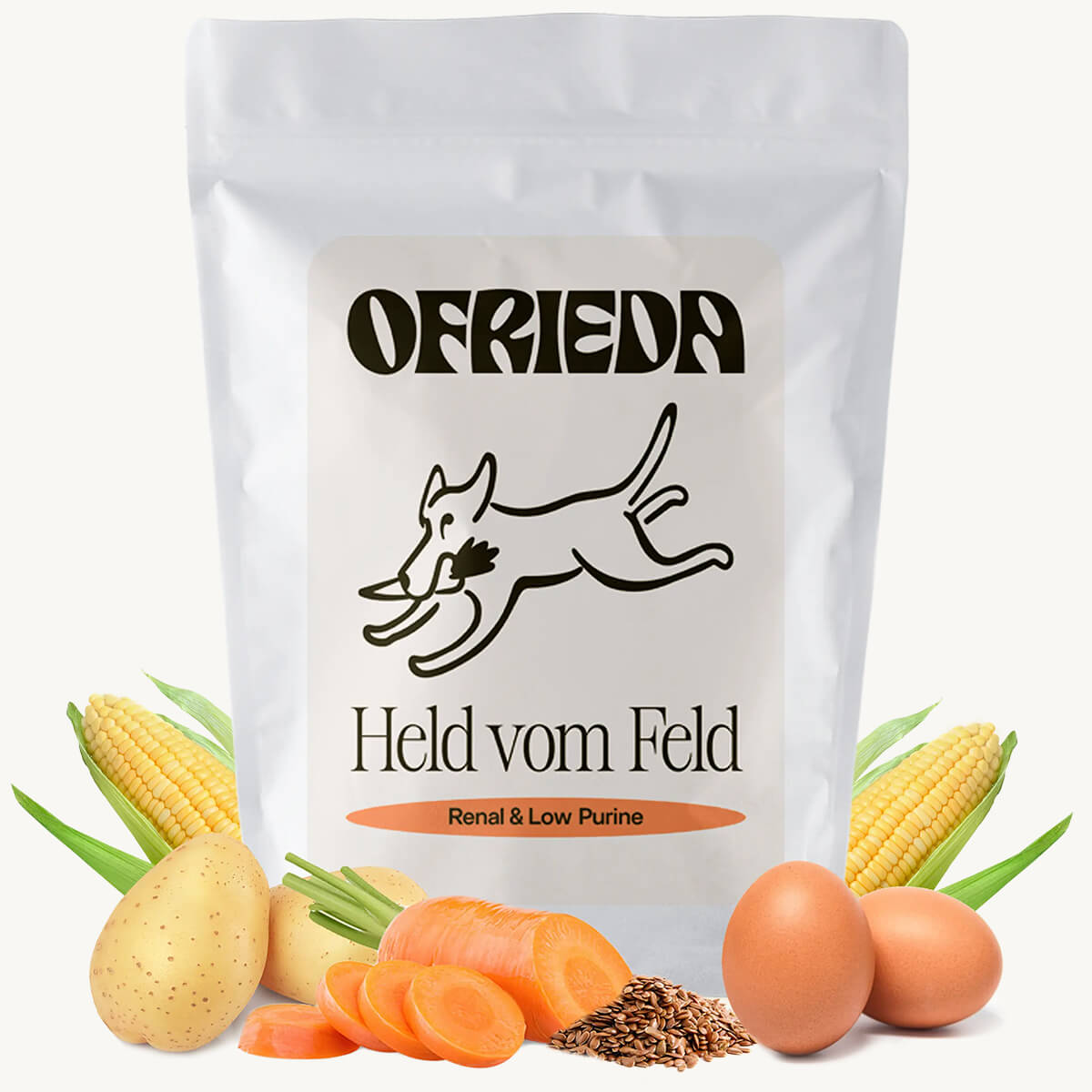 Leishmaniose Hund - Symptome, Therapie & Kosten  Ofrieda