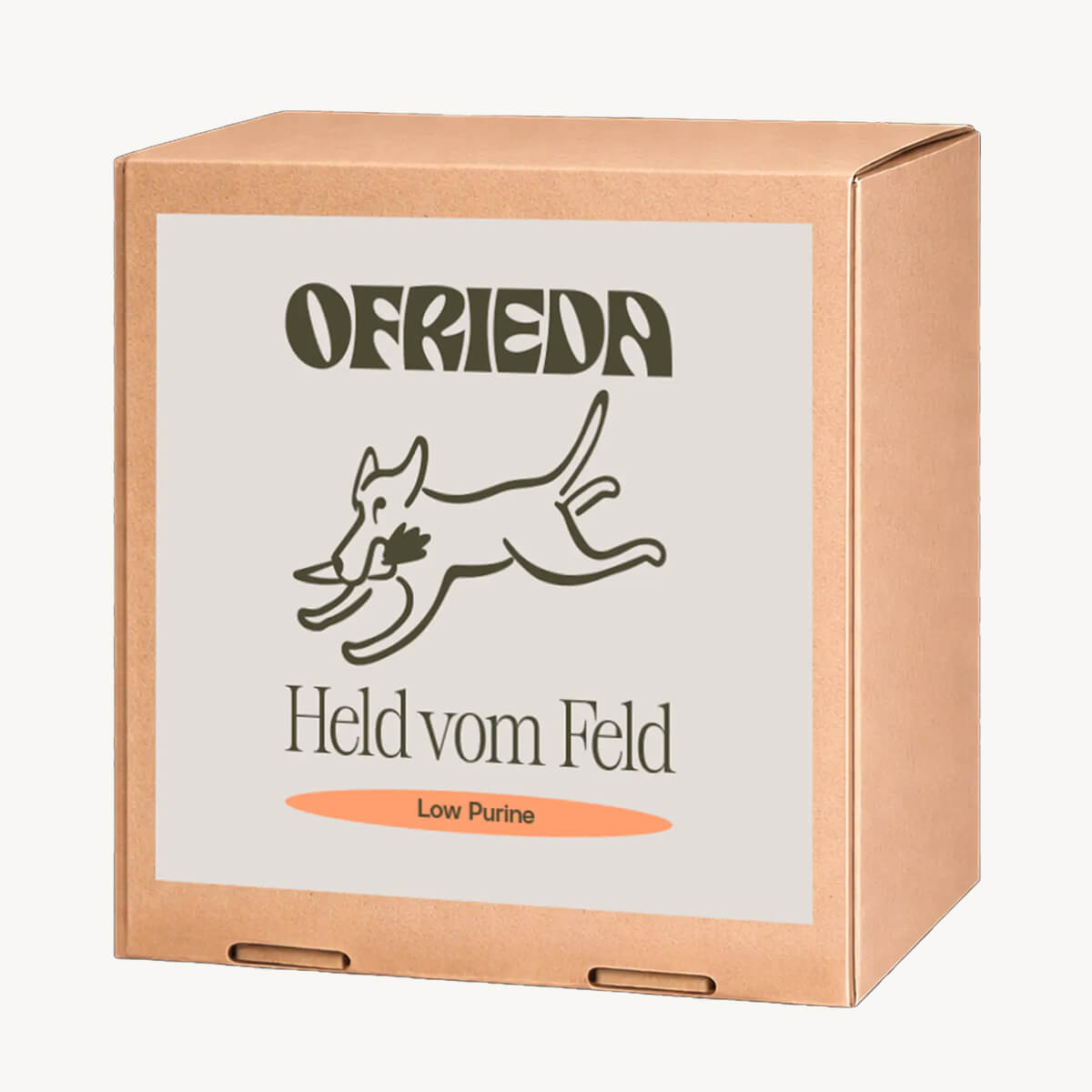 Held vom Feld Kaustangen
