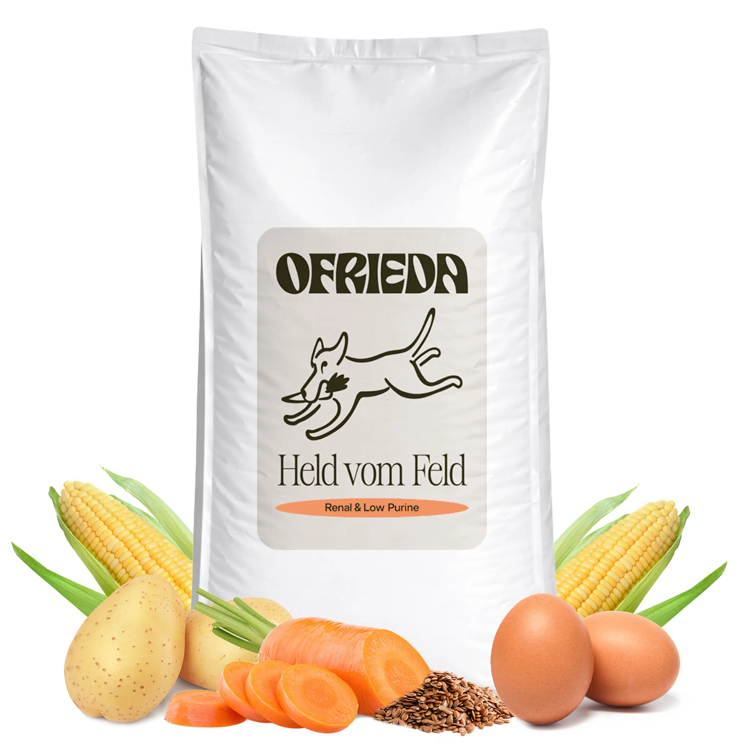 hundefutter lachs The Goodstuff Adult Salmon/ Lachs - Premium Hundefutter main image 1