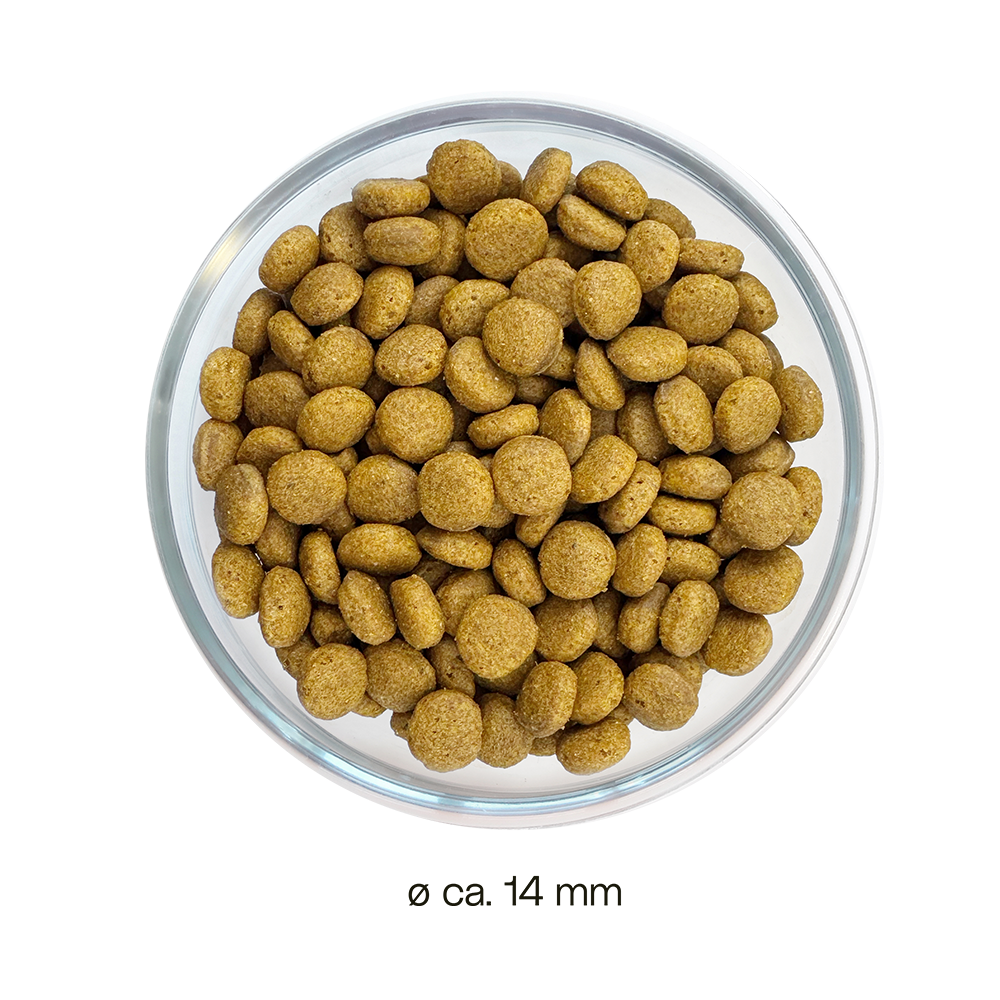 Purinarmes Hundefutter  Tierrztlich entwickelt  Ofrieda