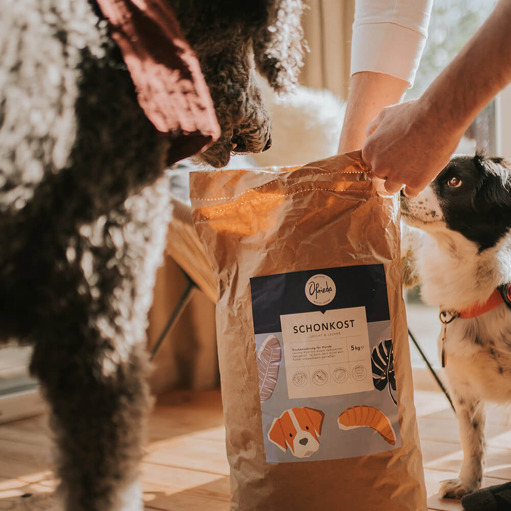 Schonkost | Insekten Hundefutter für sensible Hunde | Trockenfutter